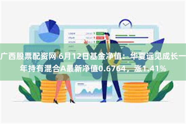 广西股票配资网 6月12日基金净值：华夏远见成长一年持有混合A最新净值0.6764，涨1.41%