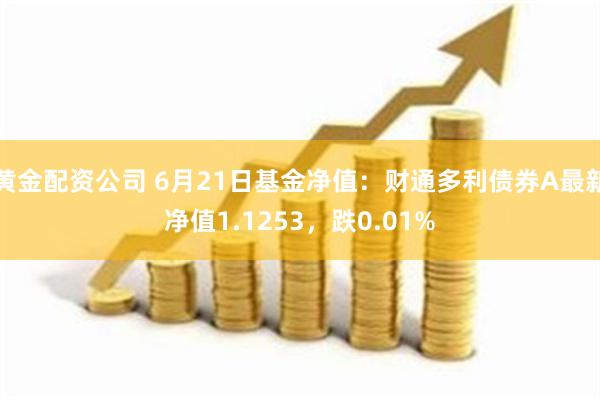 黄金配资公司 6月21日基金净值：财通多利债券A最新净值1.1253，跌0.01%