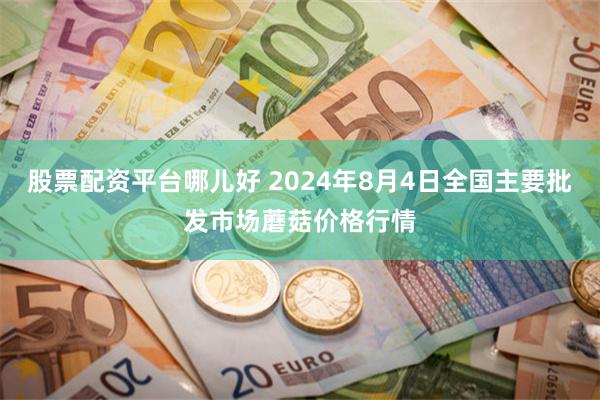 股票配资平台哪儿好 2024年8月4日全国主要批发市场蘑菇价格行情