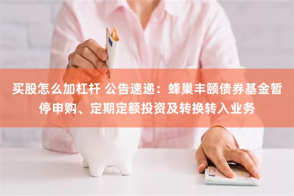 买股怎么加杠杆 公告速递：蜂巢丰颐债券基金暂停申购、定期定额投资及转换转入业务