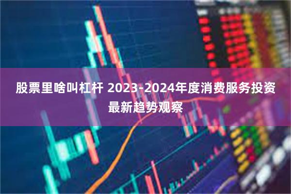 股票里啥叫杠杆 2023-2024年度消费服务投资最新趋势观察