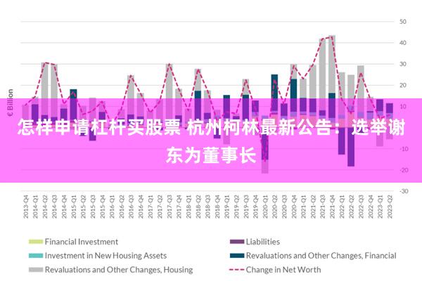 怎样申请杠杆买股票 杭州柯林最新公告：选举谢东为董事长