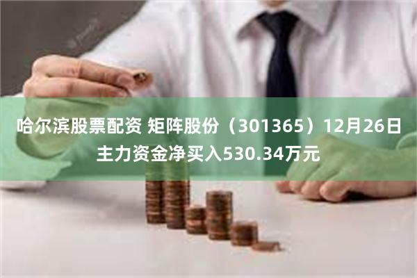 哈尔滨股票配资 矩阵股份（301365）12月26日主力资金净买入530.34万元